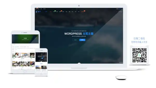 龙霄主题:WordPress+Nuxt.js构建的集商城课程产品问答视频等多功能应用