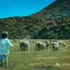 大小花甸坝的秋色——大理苍山深处的人间仙境徒步秘境