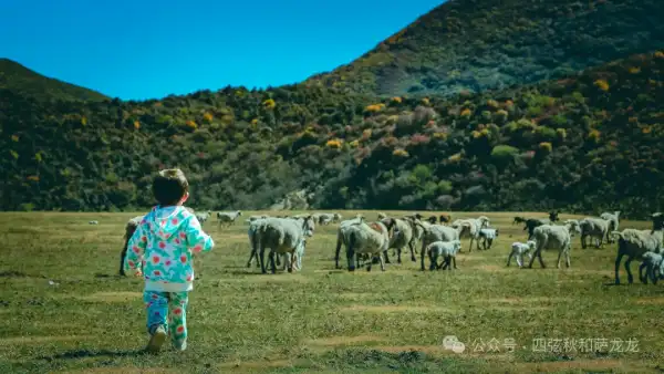 大小花甸坝的秋色——大理苍山深处的人间仙境徒步秘境