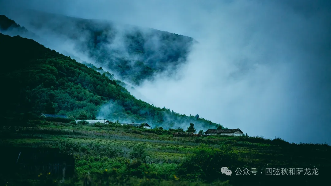 花甸坝：大理苍山深处的高山草甸徒步避暑胜地 - 第12张