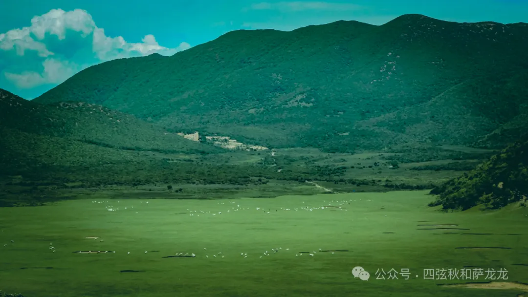 花甸坝：大理苍山深处的高山草甸徒步避暑胜地 - 第23张