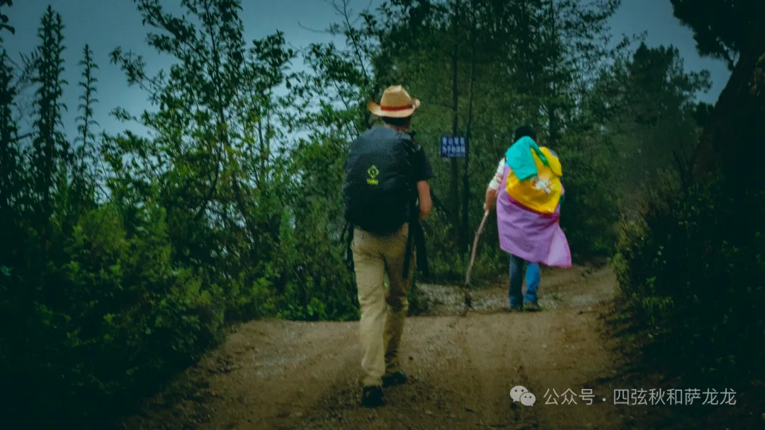 花甸坝：大理苍山深处的高山草甸徒步避暑胜地 - 第5张