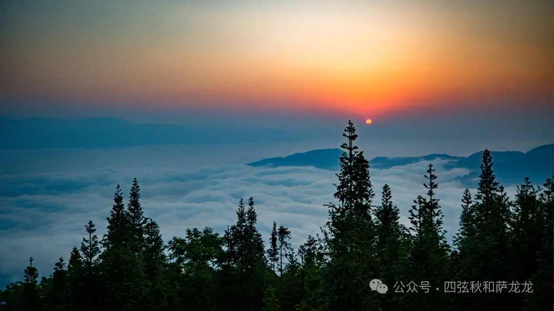 云南红河县“天下第一梯田”撒玛坝梯田，已经绿意盎然了 - 第10张