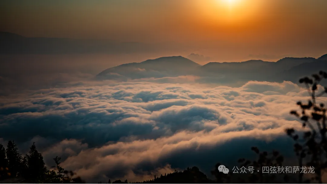 云南红河县“天下第一梯田”撒玛坝梯田，已经绿意盎然了 - 第11张