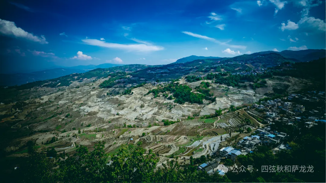 云南红河县“天下第一梯田”撒玛坝梯田，已经绿意盎然了 - 第2张