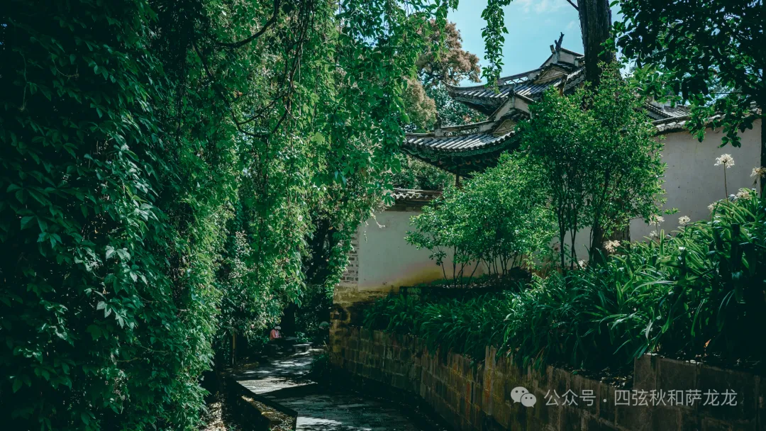 巍宝山：彝族祭祖圣地和中国道教名山 - 第11张