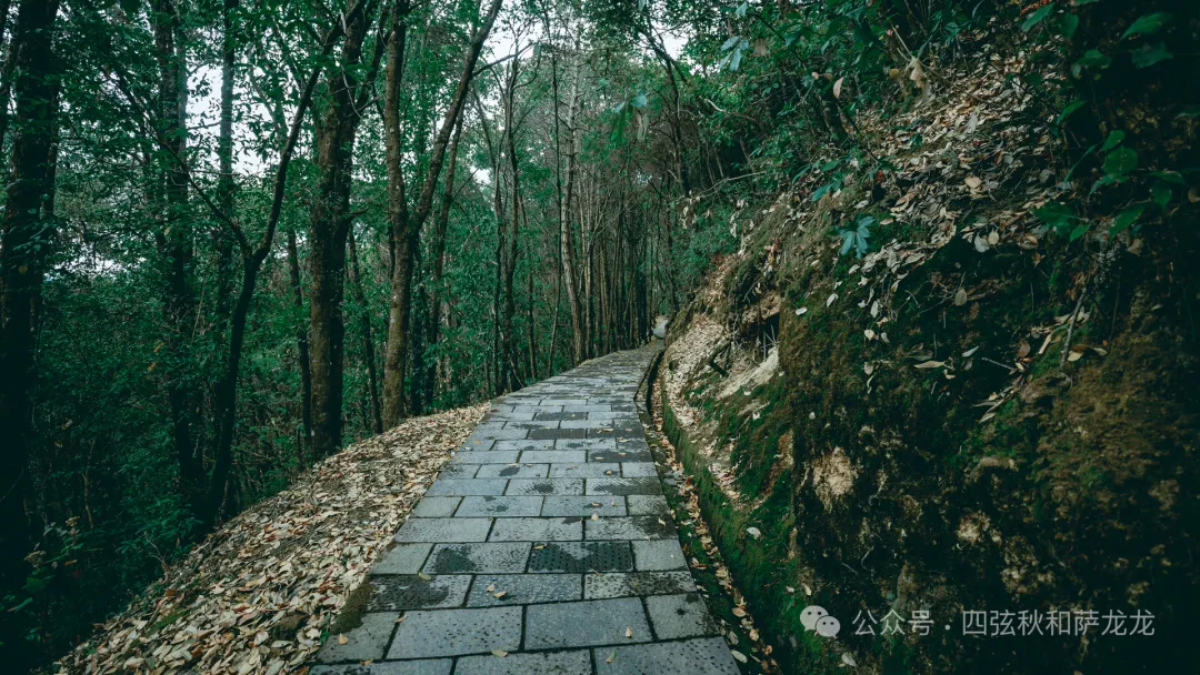 巍宝山：彝族祭祖圣地和中国道教名山 - 第25张