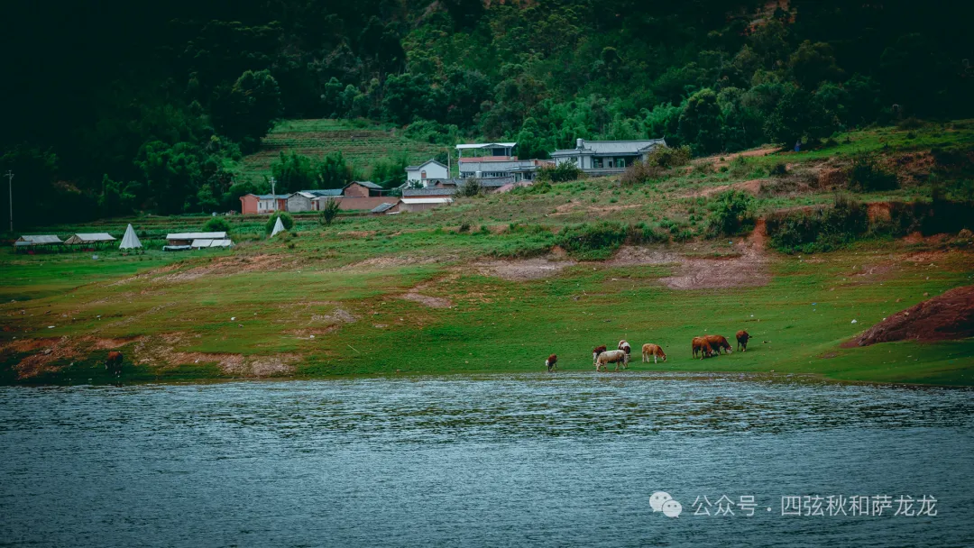 大理巍山苍鹭谷：集自然风景、户外活动、亲子研学于一体的牧场营地 - 第2张