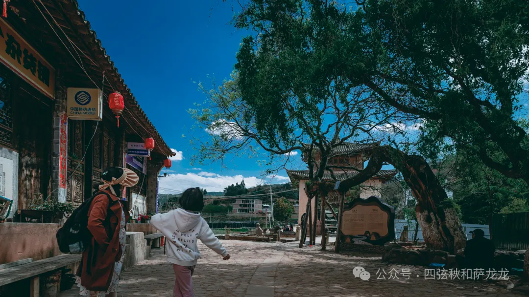 去那些茶马古道上聆听远去的马蹄声声|自驾游云南 - 第23张