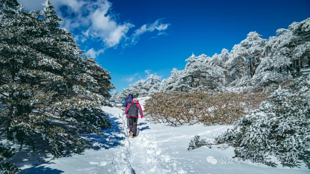 收藏好这条大理苍山兰峰徒步路线，冬季绝美雪景等你来探访 - 第10张