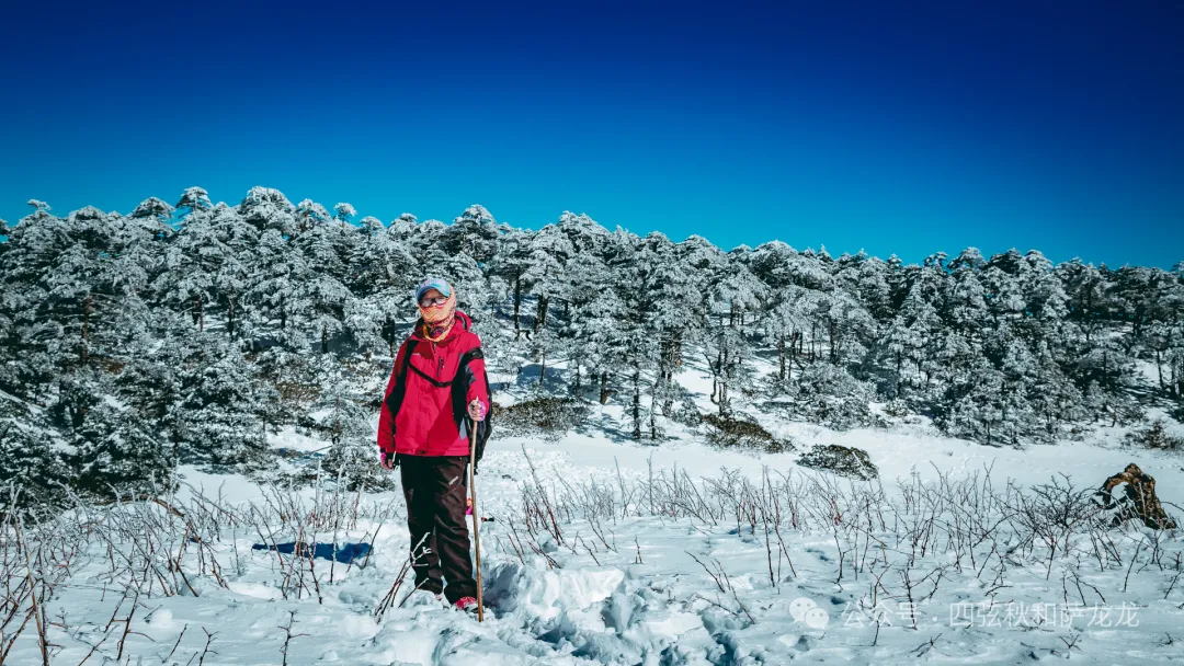 收藏好这条大理苍山兰峰徒步路线，冬季绝美雪景等你来探访 - 第11张