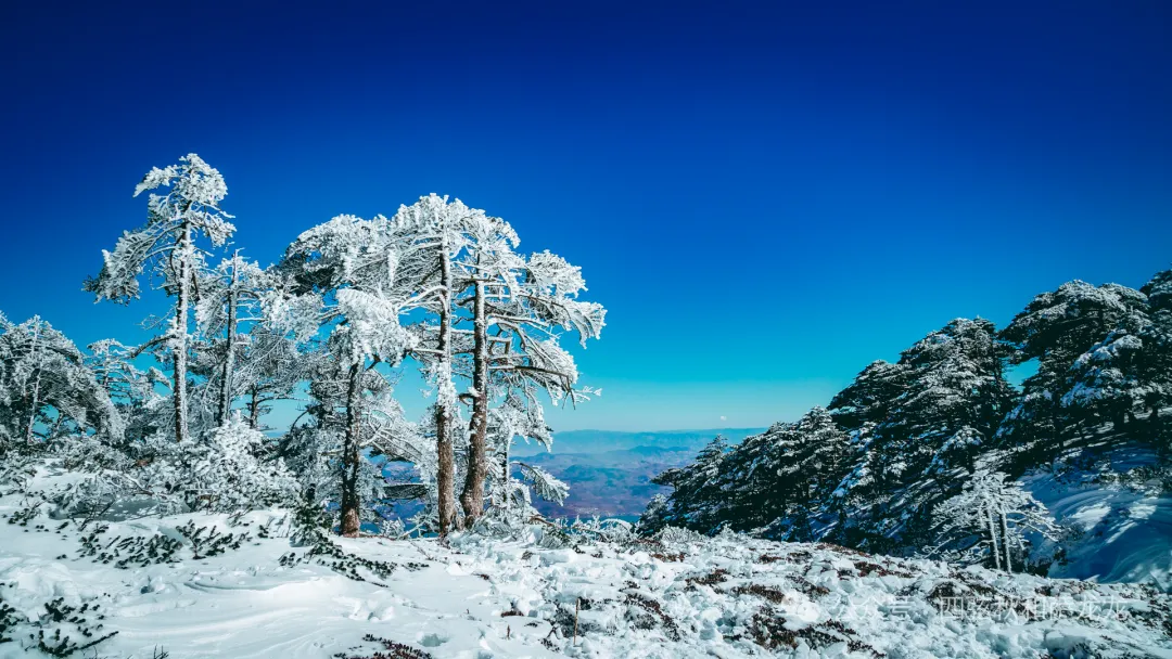 收藏好这条大理苍山兰峰徒步路线，冬季绝美雪景等你来探访 - 第13张