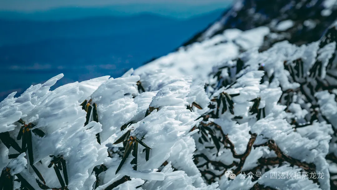 收藏好这条大理苍山兰峰徒步路线，冬季绝美雪景等你来探访 - 第18张