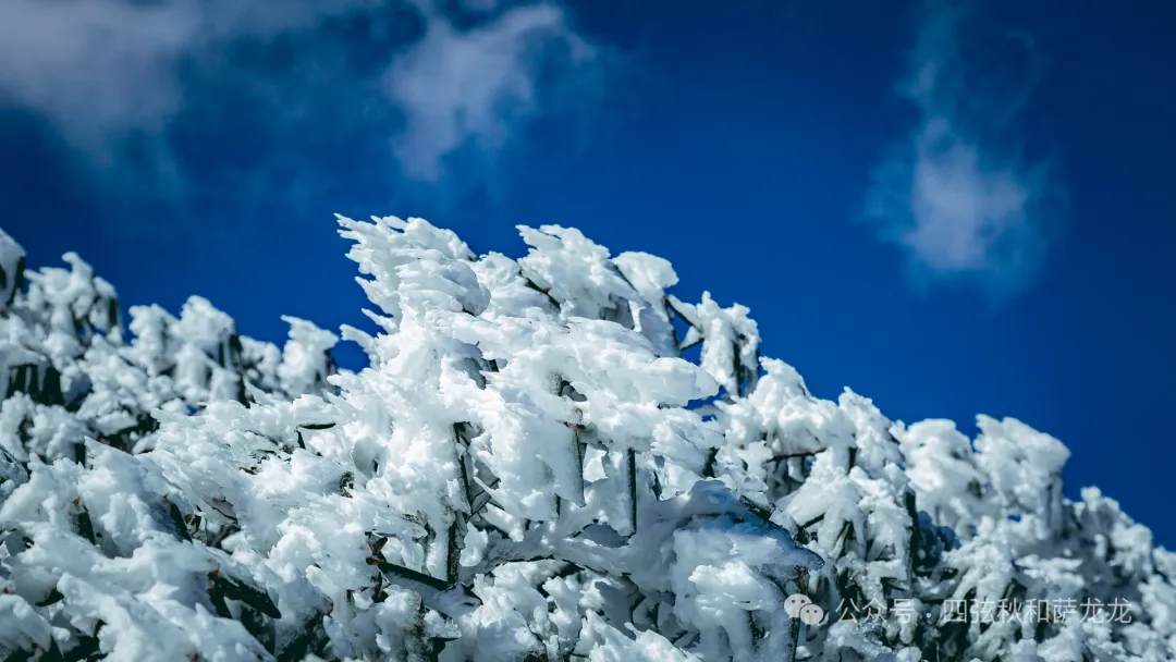 收藏好这条大理苍山兰峰徒步路线，冬季绝美雪景等你来探访 - 第19张
