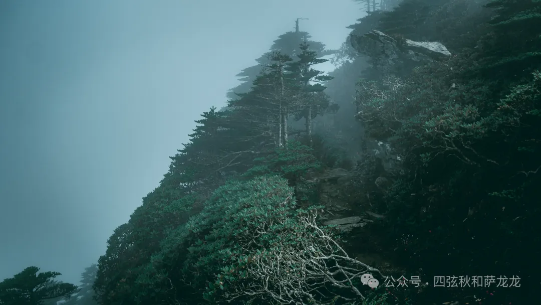 两次徒步大理苍山小岑峰,1天内领略苍山春夏秋冬的绝美风景 - 第21张