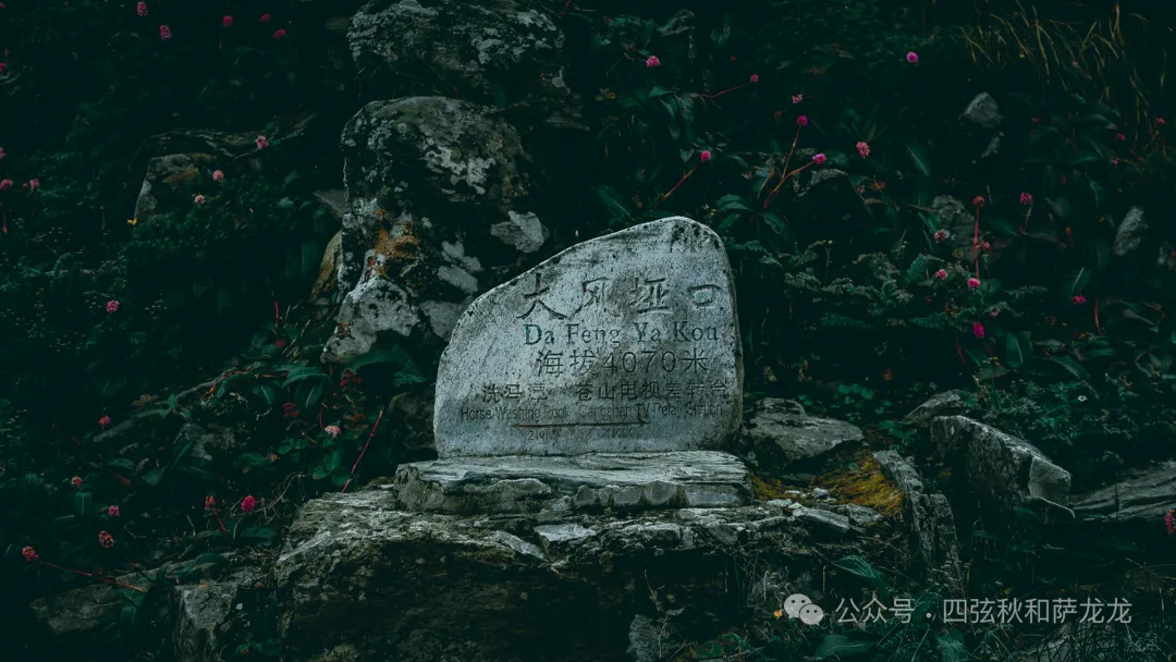 两次徒步大理苍山小岑峰,1天内领略苍山春夏秋冬的绝美风景 - 第22张