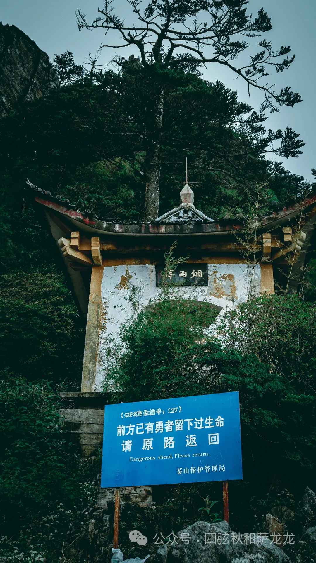 两次徒步大理苍山小岑峰,1天内领略苍山春夏秋冬的绝美风景 - 第3张