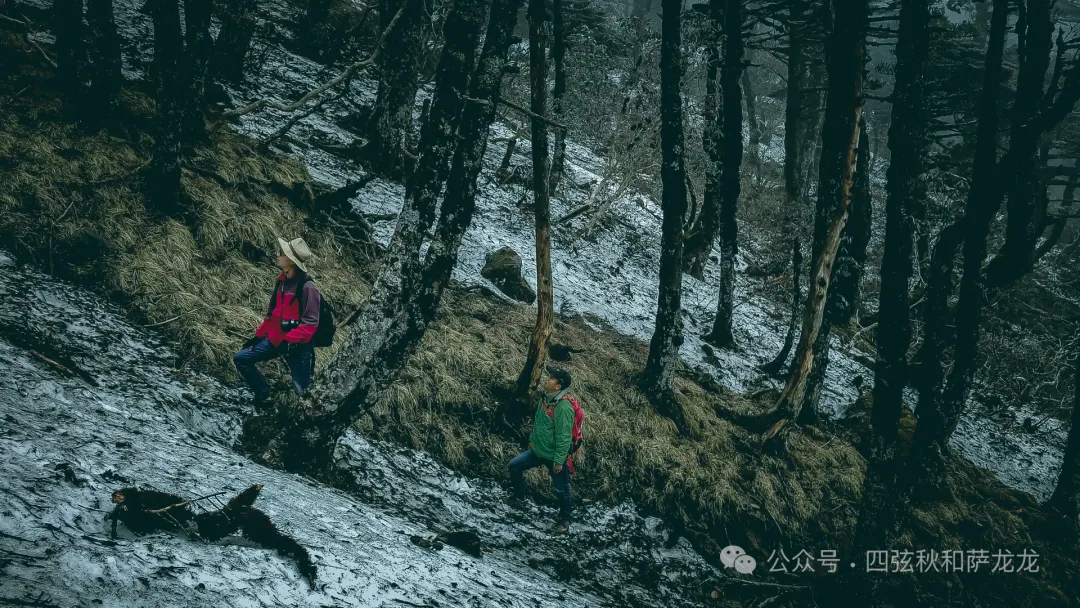 两次徒步大理苍山小岑峰,1天内领略苍山春夏秋冬的绝美风景 - 第31张