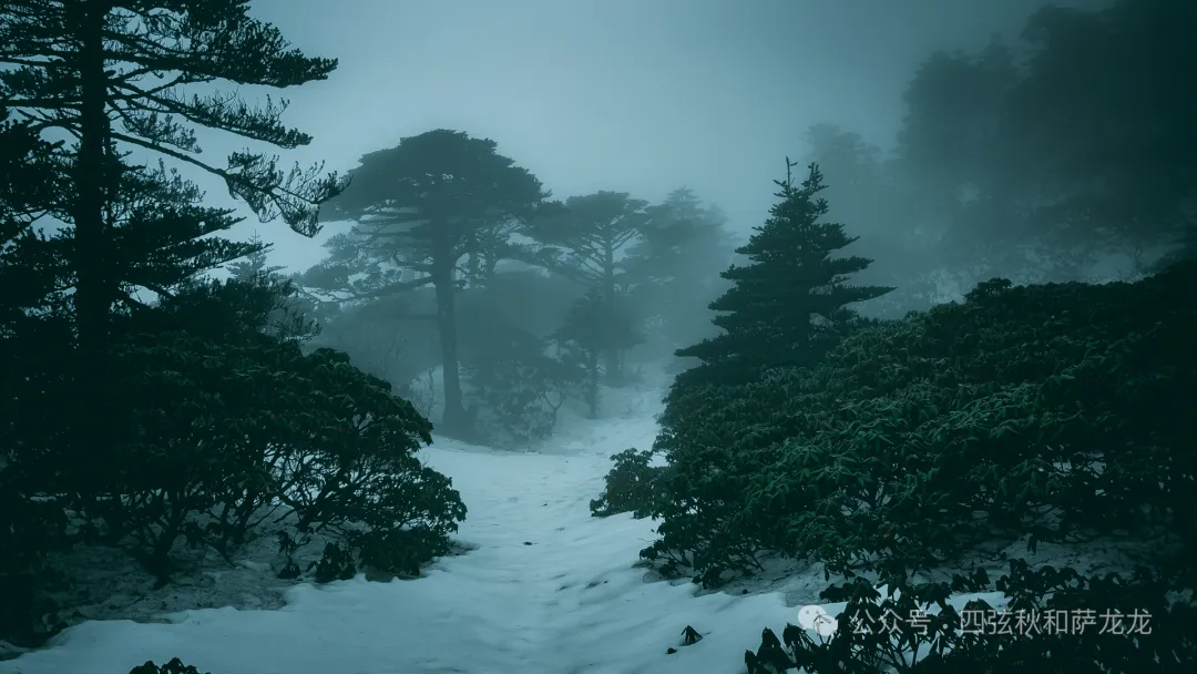 两次徒步大理苍山小岑峰,1天内领略苍山春夏秋冬的绝美风景 - 第36张