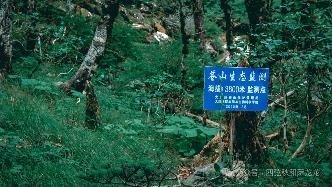 两次徒步大理苍山小岑峰，1天内领略苍山春夏秋冬的绝美风景 - 第4张