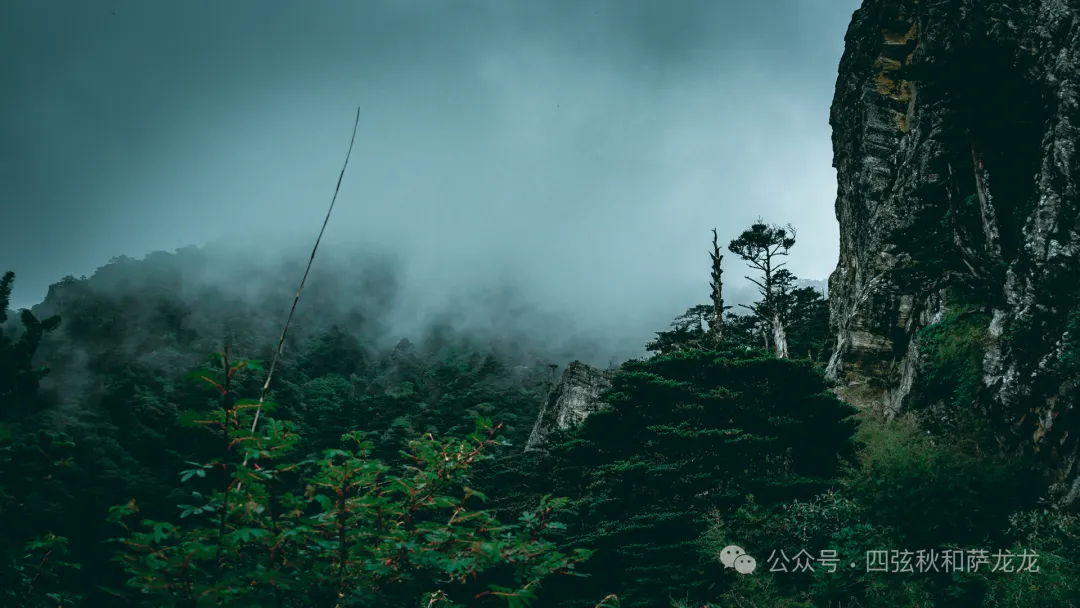 两次徒步大理苍山小岑峰,1天内领略苍山春夏秋冬的绝美风景 - 第5张
