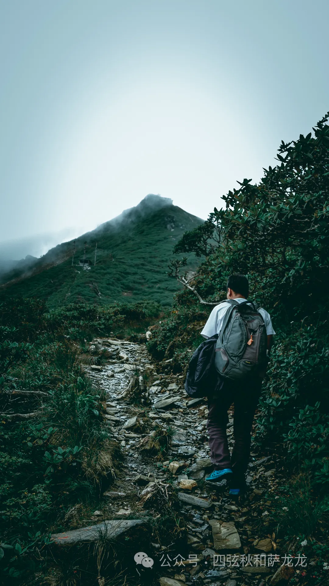两次徒步大理苍山小岑峰，1天内领略苍山春夏秋冬的绝美风景 - 第9张