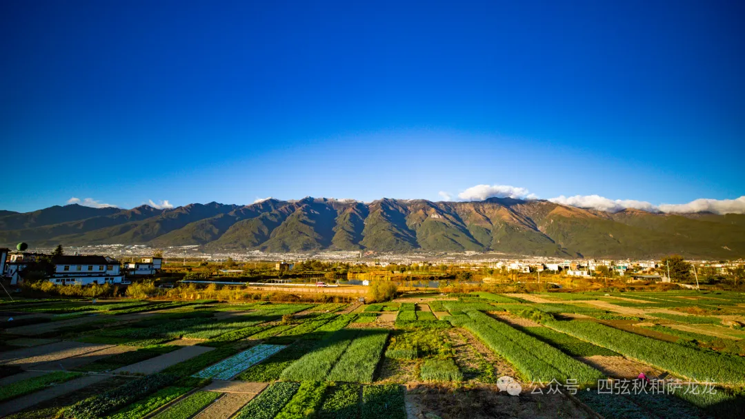 一对旅居大理的夫妻，花10年时间用镜头记录苍山的春夏秋冬 - 第11张