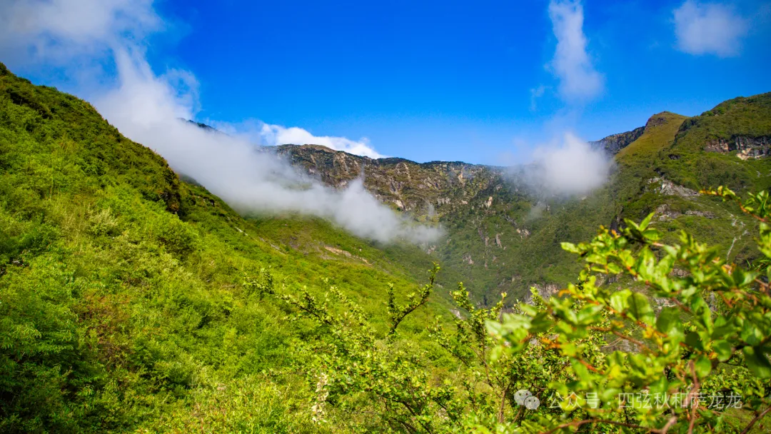 一对旅居大理的夫妻，花10年时间用镜头记录苍山的春夏秋冬 - 第31张