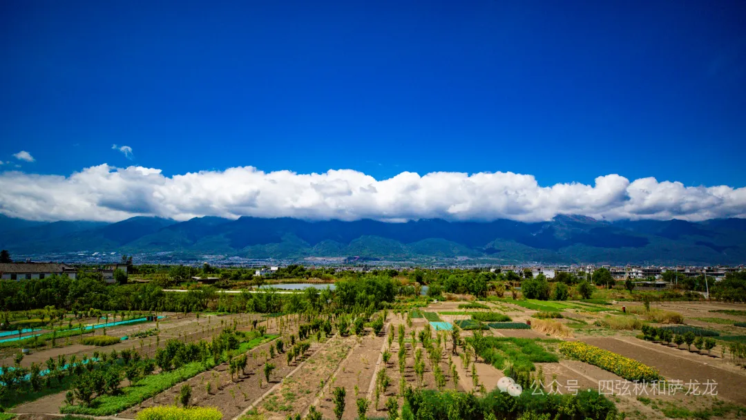 一对旅居大理的夫妻，花10年时间用镜头记录苍山的春夏秋冬 - 第35张
