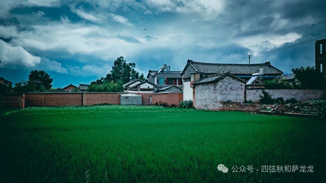 大理巍山美食之旅：茶马古道上的历史文化名村回族古村落东莲花村 - 第3张