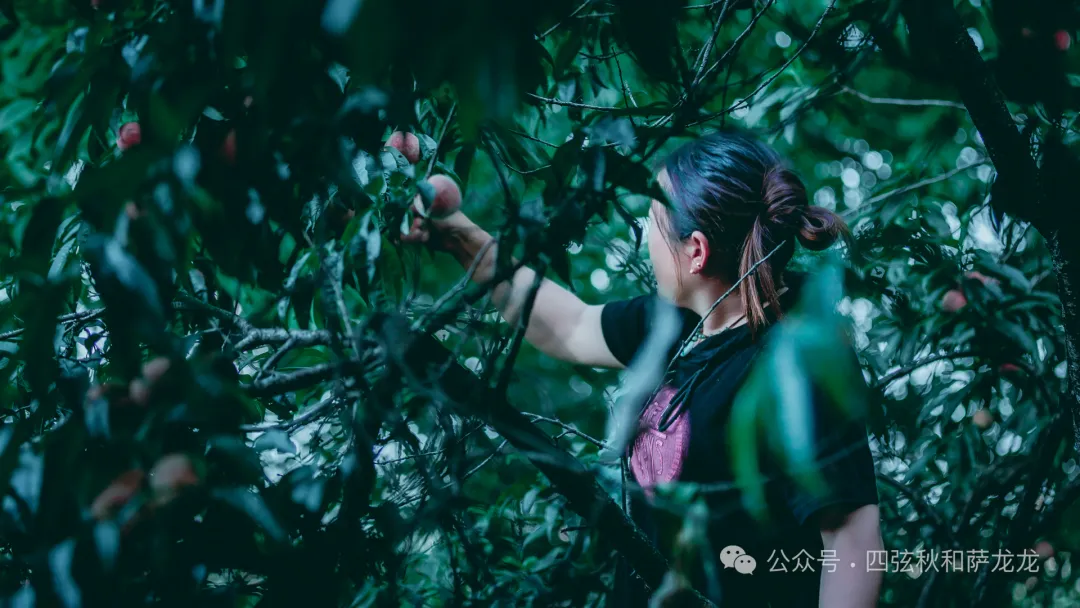 诗和远方的家园:大理巍山火山村的浓情端午 - 第18张