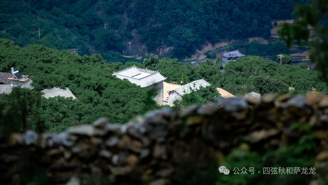 诗和远方的家园:大理巍山火山村的浓情端午 - 第2张
