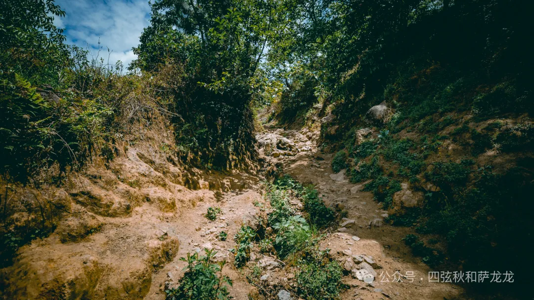 诗和远方的家园:大理巍山火山村的浓情端午 - 第7张