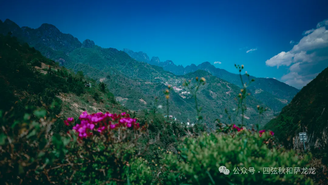 Lushui City – Fugong County – Bingzhongluo – Wuli Village – Pianma Port – Gaoligong Mountain: A 5-Day-4-Night Spring Journey to a Paradise Along the Nujiang River - Image 10