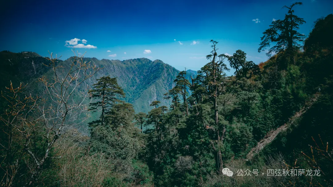 Lushui City – Fugong County – Bingzhongluo – Wuli Village – Pianma Port – Gaoligong Mountain: A 5-Day-4-Night Spring Journey to a Paradise Along the Nujiang River - Image 31