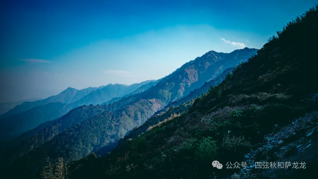 Lushui City – Fugong County – Bingzhongluo – Wuli Village – Pianma Port – Gaoligong Mountain: A 5-Day-4-Night Spring Journey to a Paradise Along the Nujiang River - Image 34
