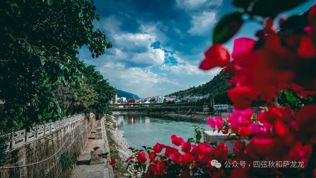 Lushui City – Fugong County – Bingzhongluo – Wuli Village – Pianma Port – Gaoligong Mountain: A 5-Day-4-Night Spring Journey to a Paradise Along the Nujiang River - Image 5