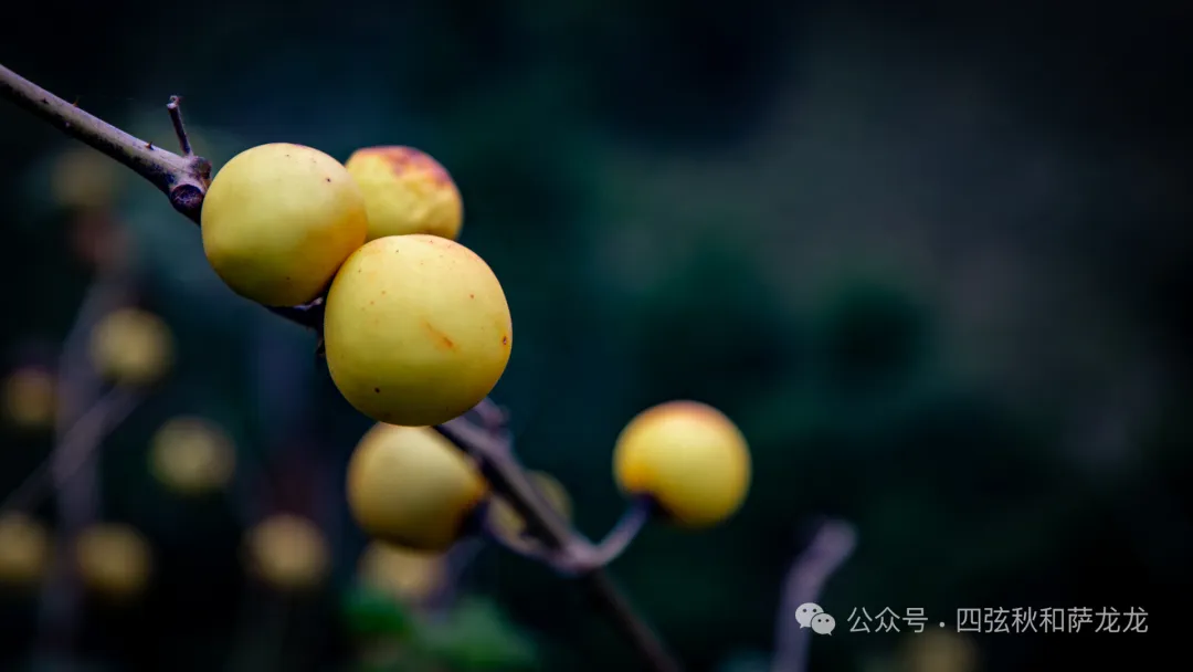 端午节除了逛巍山古城，也可以来距古城15公里远的谷波罗听一曲田园牧歌 - 第17张