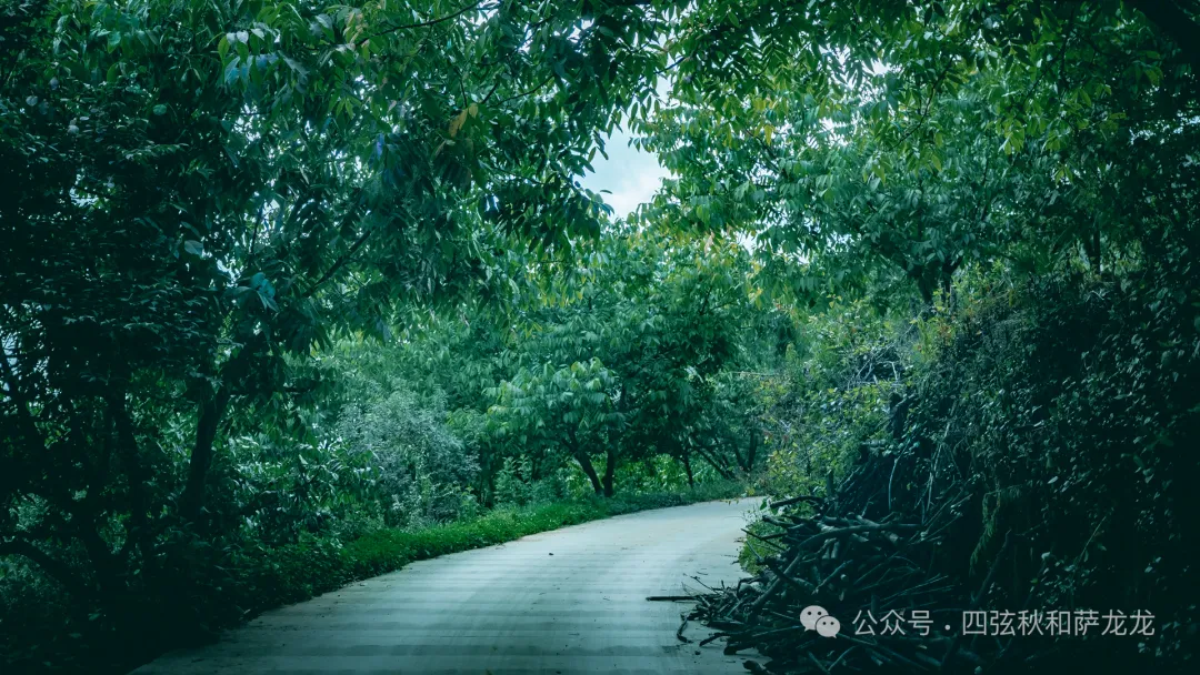 端午节除了逛巍山古城，也可以来距古城15公里远的谷波罗听一曲田园牧歌 - 第3张