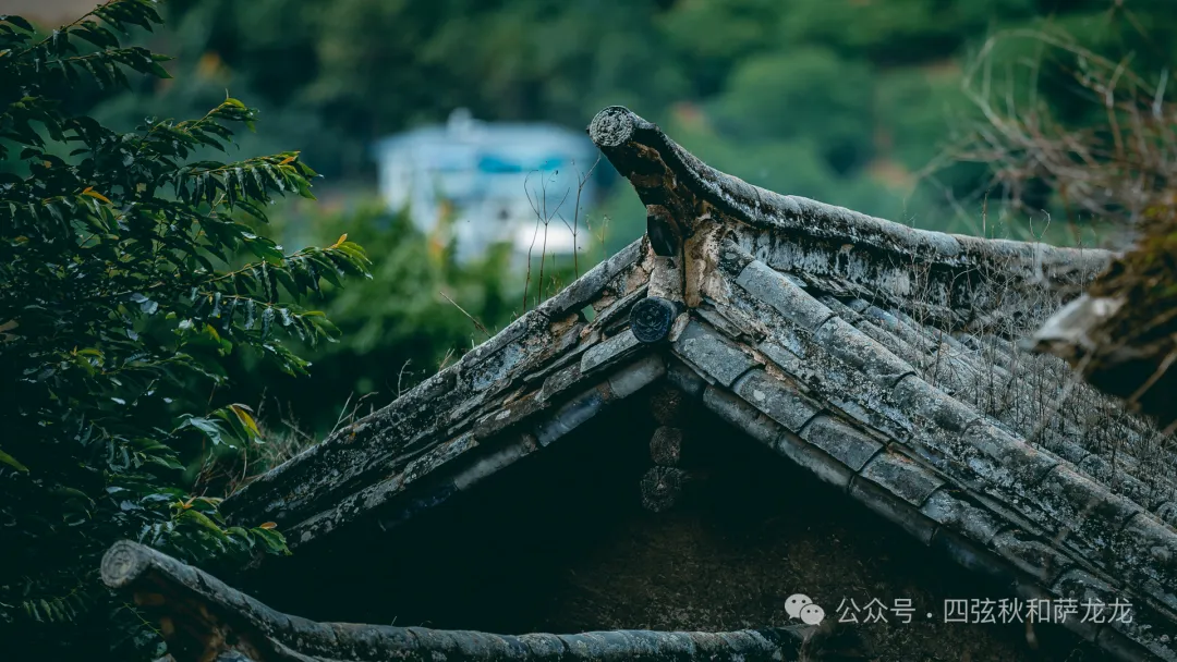 端午节除了逛巍山古城，也可以来距古城15公里远的谷波罗听一曲田园牧歌 - 第34张