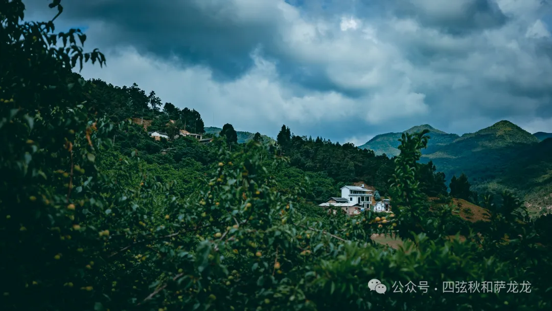 端午节除了逛巍山古城，也可以来距古城15公里远的谷波罗听一曲田园牧歌 - 第6张