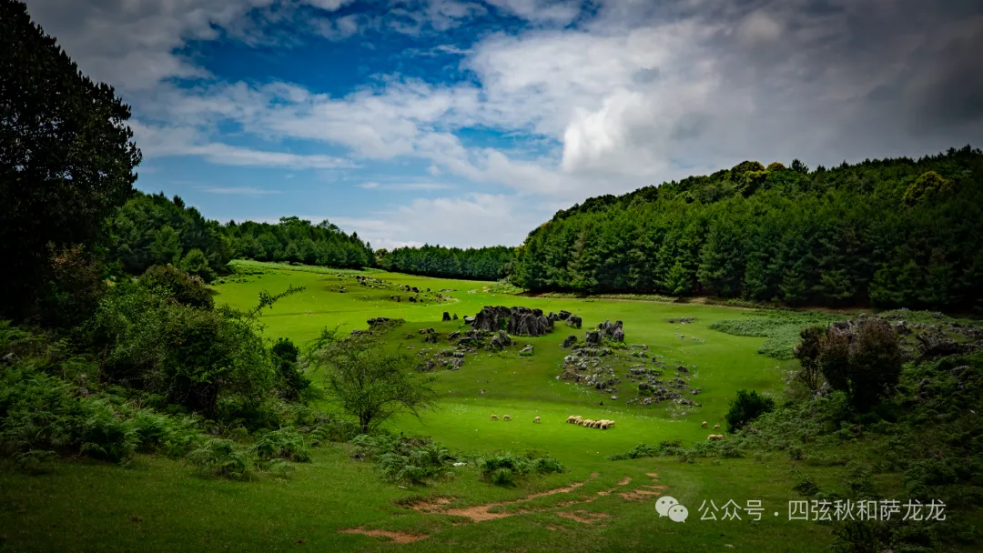 去大理巍山的这片高山草甸，吹吹阿勒泰里同款治愈系旷野的风 - 第1张