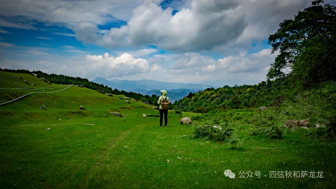 去大理巍山的这片高山草甸，吹吹阿勒泰里同款治愈系旷野的风 - 第11张