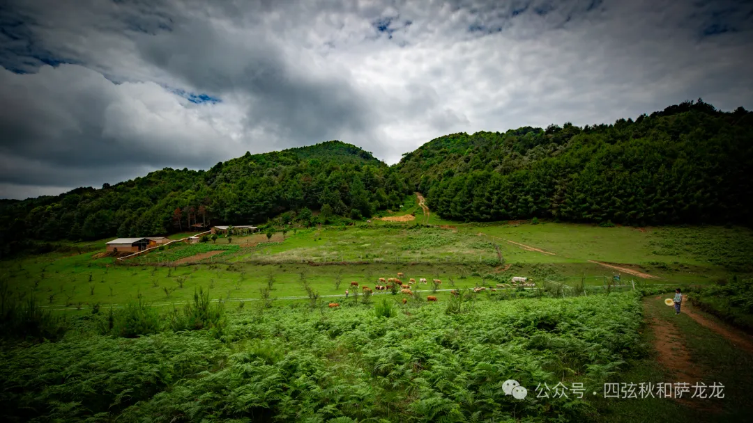 去大理巍山的这片高山草甸，吹吹阿勒泰里同款治愈系旷野的风 - 第13张