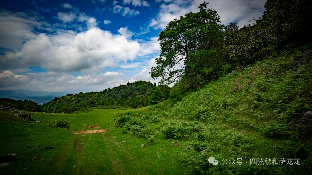 去大理巍山的这片高山草甸，吹吹阿勒泰里同款治愈系旷野的风 - 第15张