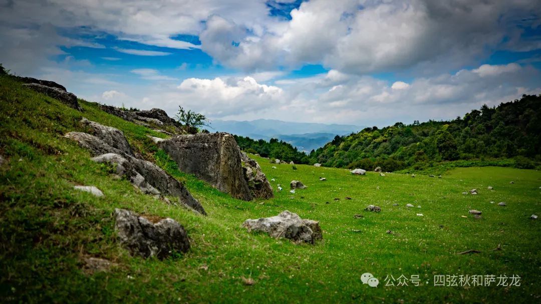 去大理巍山的这片高山草甸，吹吹阿勒泰里同款治愈系旷野的风 - 第16张