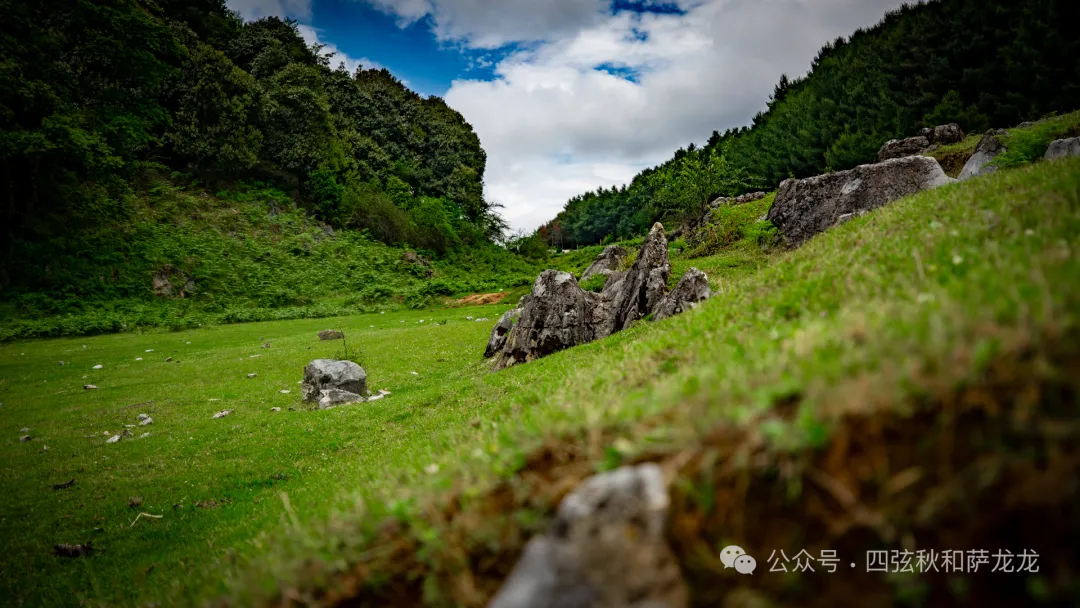 去大理巍山的这片高山草甸，吹吹阿勒泰里同款治愈系旷野的风 - 第18张