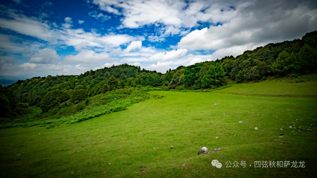 去大理巍山的这片高山草甸，吹吹阿勒泰里同款治愈系旷野的风 - 第19张
