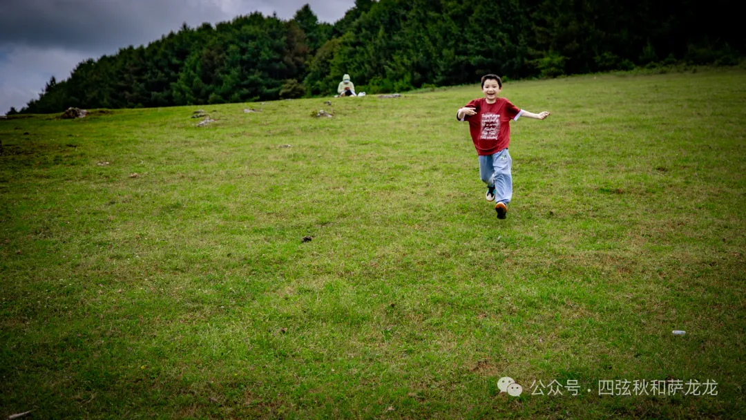 去大理巍山的这片高山草甸，吹吹阿勒泰里同款治愈系旷野的风 - 第20张