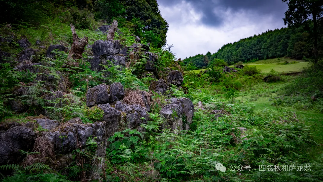 去大理巍山的这片高山草甸，吹吹阿勒泰里同款治愈系旷野的风 - 第23张